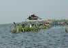  Kumarakom Backwaters, Kerala